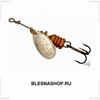 BLESNASHOP.RU